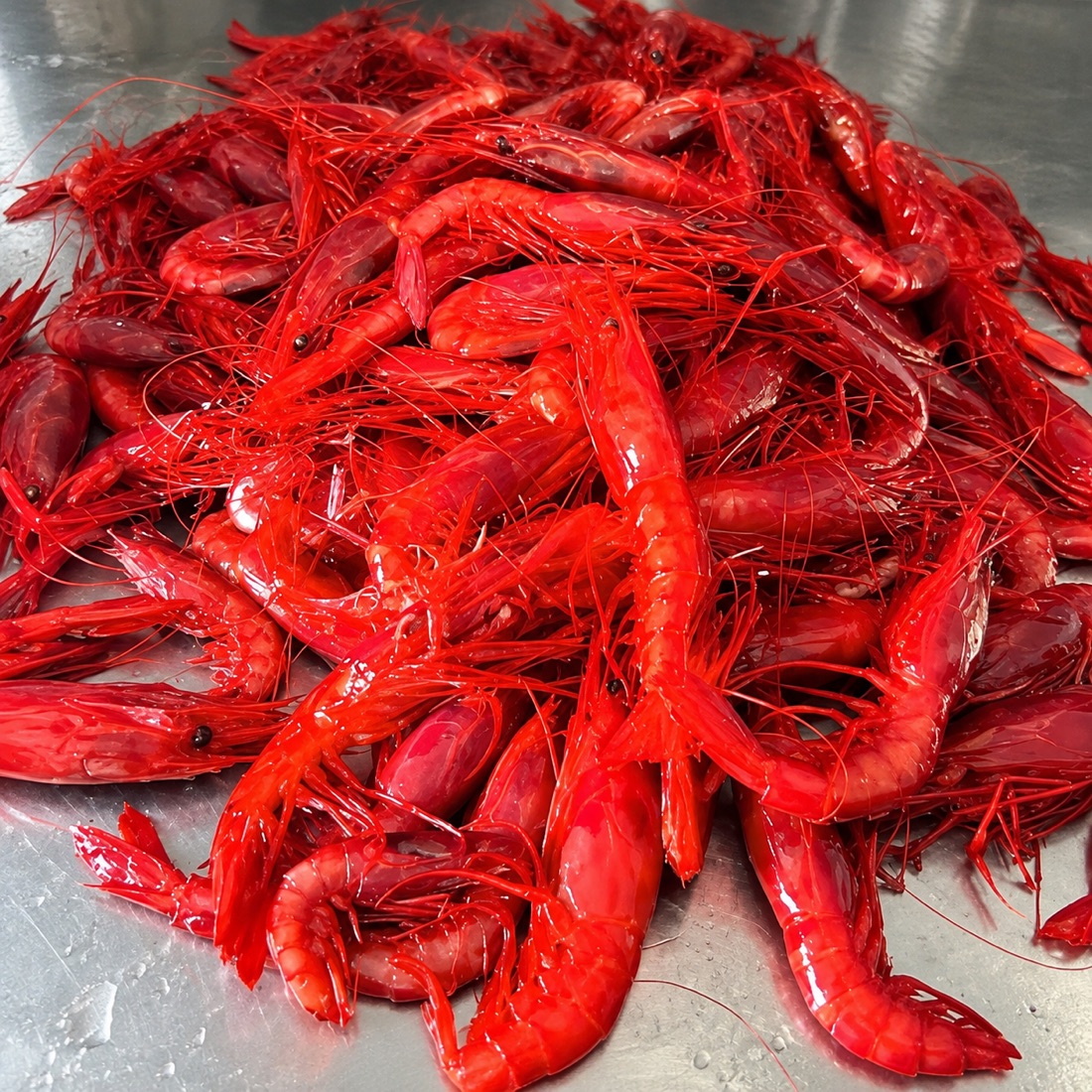 Carabineros